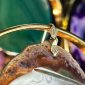 Потолочная люстра ImperiumLoft AGATE01