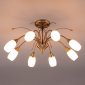 Потолочная люстра Eurosvet Ginevra 30280/8