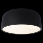 Потолочный светильник Loft IT Axel 10201/350 Black