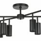 Потолочная люстра Lightstar Rullo LR728378