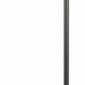 Торшер Loft IT Ritz 10253F/A Black