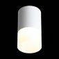 Потолочный светодиодный светильник ST Luce Ottu ST100.502.05