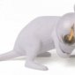 Интерьерная настольная лампа Seletti Mouse Lamp 15222
