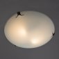 Настенно-потолочный светильник Arte Lamp Plain A3720PL-2CC