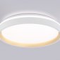 Накладной светильник Ambrella Light FZ FZ607