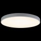 Потолочный светильник Loft IT Axel 10002/48 White