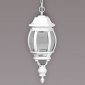 Уличный светильник подвесной Oasis Light 83405L W