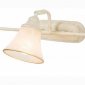 Спот Citilux Прованс CL511534