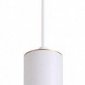 Подвесной светильник Odeon Light Corse 3873/1L