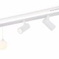 Потолочный светильник Ambrella light Comfort FL66201
