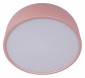 Потолочный светильник Loft IT Axel 10201/350 Pink