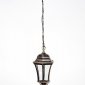 Уличный светильник подвесной Oasis Light ASTORIA 1 L 91305L cover Gb
