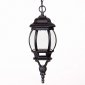 Уличный светильник подвесной Oasis Light 83405S Bl