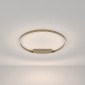 Потолочный светильник Maytoni Rim MOD058CL-L50BSK