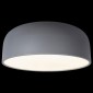 Потолочный светильник Loft IT Axel 10201/480 Grey