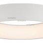 Подвесной светильник Arlight SP-TOR-RING-HANG-R600-42W Day4000 (WH, 120 deg) 022148(1)