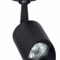 Прожектор уличный Arte Lamp Elsie A1022AL-1BK