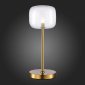 Настольная лампа ST Luce FINN SL1049.304.01