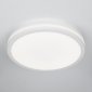 Потолочный светильник Luns CL711020V