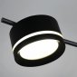 Потолочная люстра Reluce 10590-0.3-10 Black
