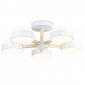 Потолочная светодиодная люстра Ambrella light Comfort LineTech FL4825
