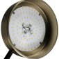 Потолочная люстра Lunar ZRS.01243.06