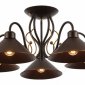 Потолочная люстра Evoluce Ciolla SLE120402-05