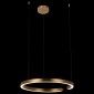 Подвесной светодиодный светильник Loft IT Ring 10013L