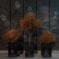 Настенный светильник уличный Novotech Smena 359163