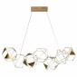 Подвесная люстра Odeon Light Trellis 5086/32L