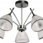 Потолочная люстра DeMarkt Дэла 635015205