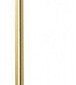 Настенный светодиодный светильник Loft IT Rays 10052GD