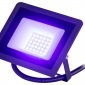 Прожектор уличный ЭРА LPR-02 LPR-025-BLUE-030
