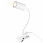 Настольная лампа офисная Ambrella light FW FW2467