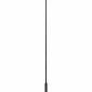Подвесной светильник Loft IT Ufo 10120/350P Black