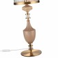 Интерьерная настольная лампа Odeon Light Terra 5414/1TA