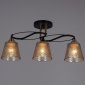 Потолочная люстра Reluce 06087-0.3-03 BK+FG