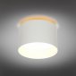 Точечный светильник Omnilux Stezzano OML-100419-16