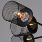 Потолочная люстра Reluce 38460-0.3-08 BK+COPPER