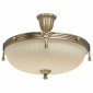 Потолочный светильник MW-Light Афродита 317011504