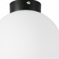 Настенно-потолочный светильник Lightstar Globo 812027