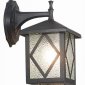 Настенный фонарь уличный ST Luce Lorne SL084.411.01