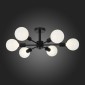 Потолочная люстра ST Luce Ano SL419.402.06