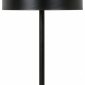 Интерьерная настольная лампа Arte Lamp Skat A7052LT-2BK