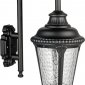 Настенный фонарь уличный Oasis Light MUNICH 2S 79752S/10 Bl