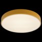 Потолочный светильник Loft IT Axel 10002/24 Yellow