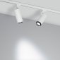 Трековый светодиодный светильник Arlight LGD-Gelios-Tune-4TR-R80-20W Day4000-Mix 039157