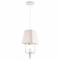 Подвесной светильник Lussole Dove GRLSP-8220