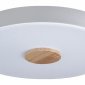 Потолочный светильник Loft IT Axel 10003/24 White
