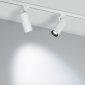 Трековый светодиодный светильник Arlight LGD-Gelios-Tune-4TR-R80-20W Day4000-Mix 039157